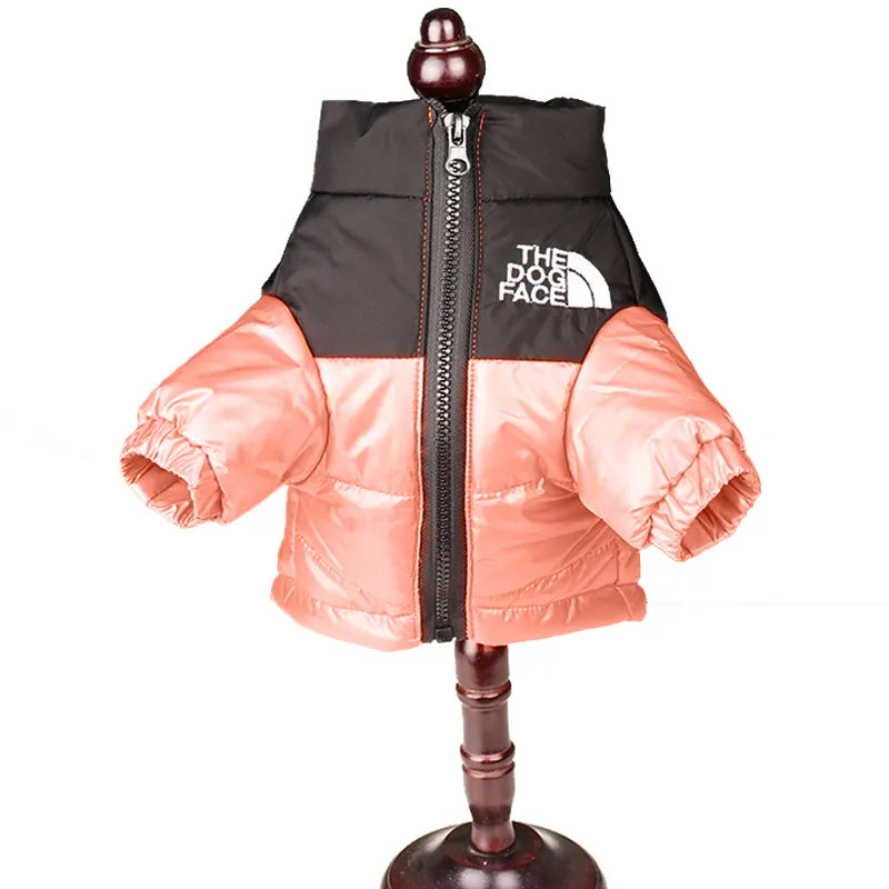 Winter Ready: Stylish Dog Coats for Warmth & Fashion
