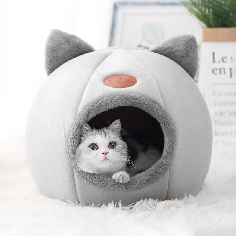 Cute Cat Beds: Winter Comfort in Cozy Mats and Small Dog Houses