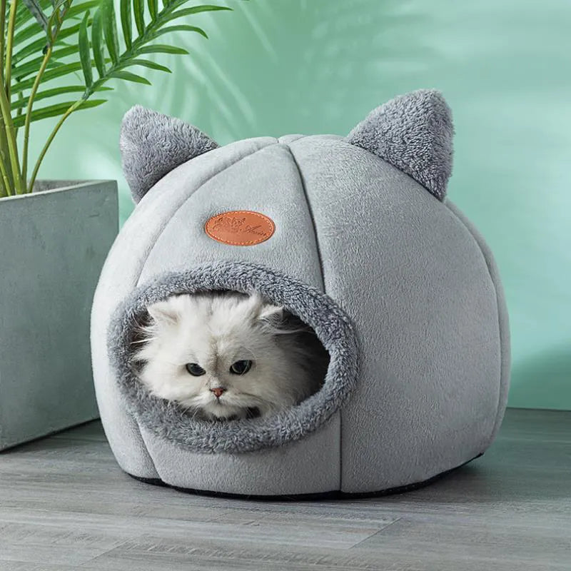 Cute Cat Beds: Winter Comfort in Cozy Mats and Small Dog Houses