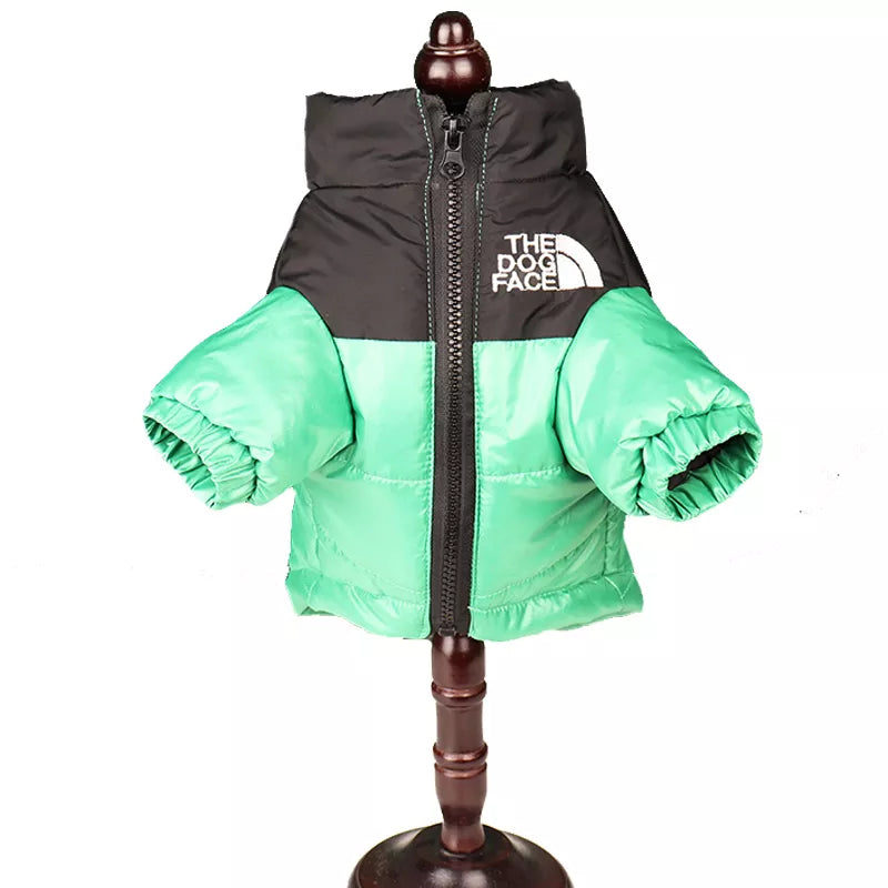 Winter Ready: Stylish Dog Coats for Warmth & Fashion
