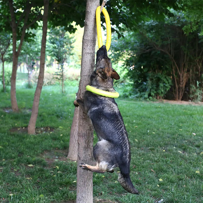 Ring Dog Toy: Interactive EVA Training for Floating Fun