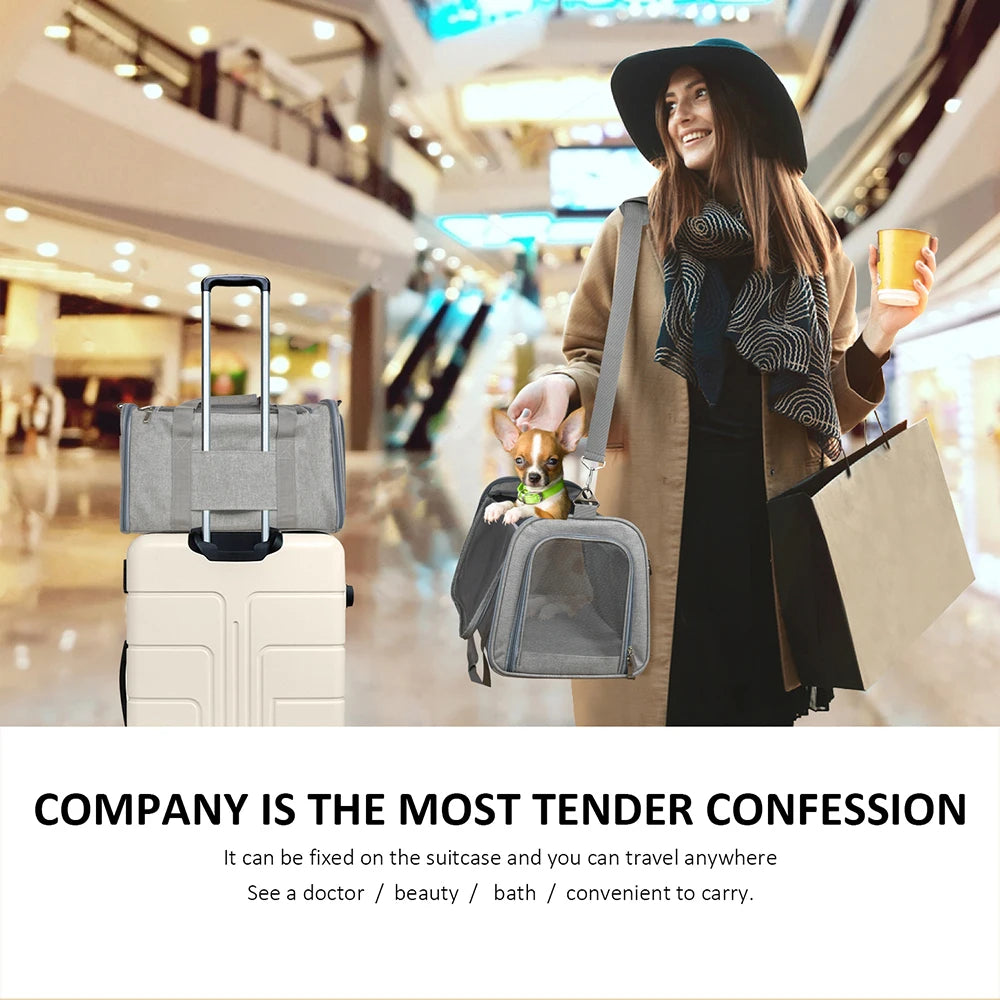 Versatile Dog Backpack for Small Pets – Stylish & Airline Approved