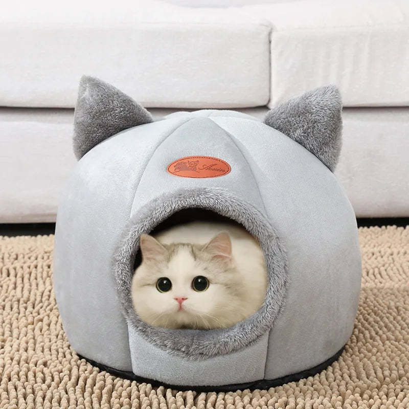 Cute Cat Beds: Winter Comfort in Cozy Mats and Small Dog Houses