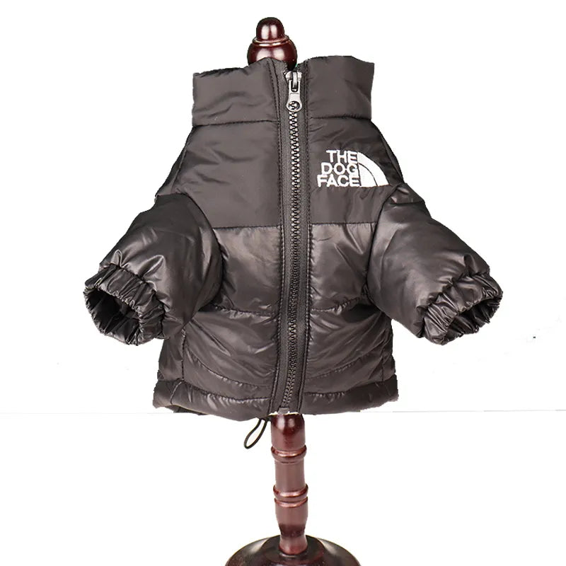 Winter Ready: Stylish Dog Coats for Warmth & Fashion