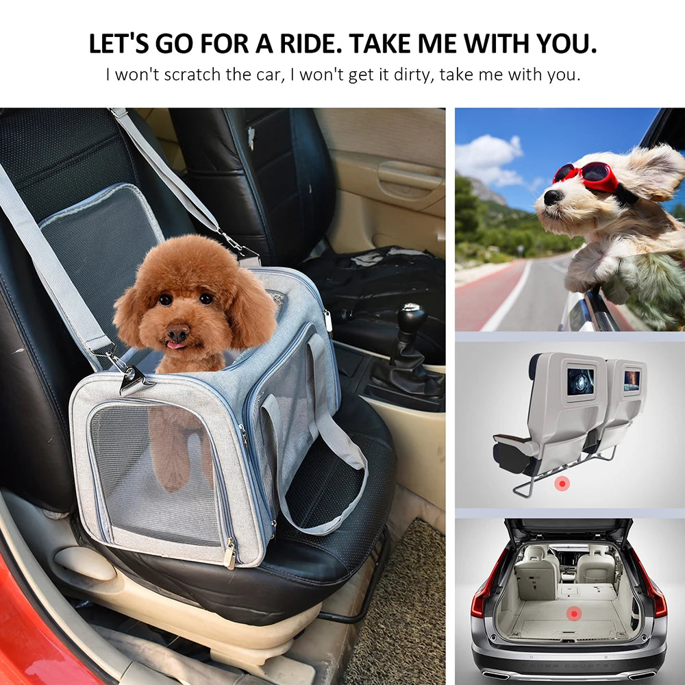 Versatile Dog Backpack for Small Pets – Stylish & Airline Approved