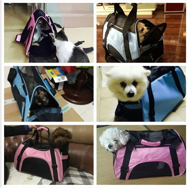Cat Breathable Transport Handbag Bag