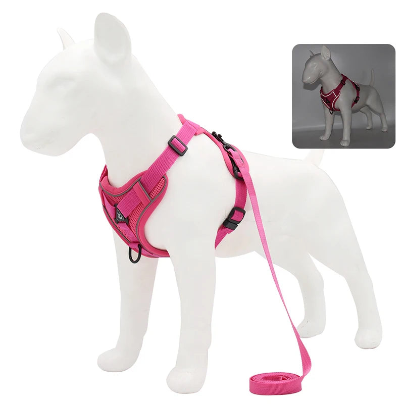 No-Pull Pet Harness Set | Small Dogs & Cats | Reflective Mesh Strap