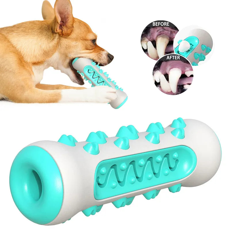 Safe Dog Chew Toys for Healthy Dental Care