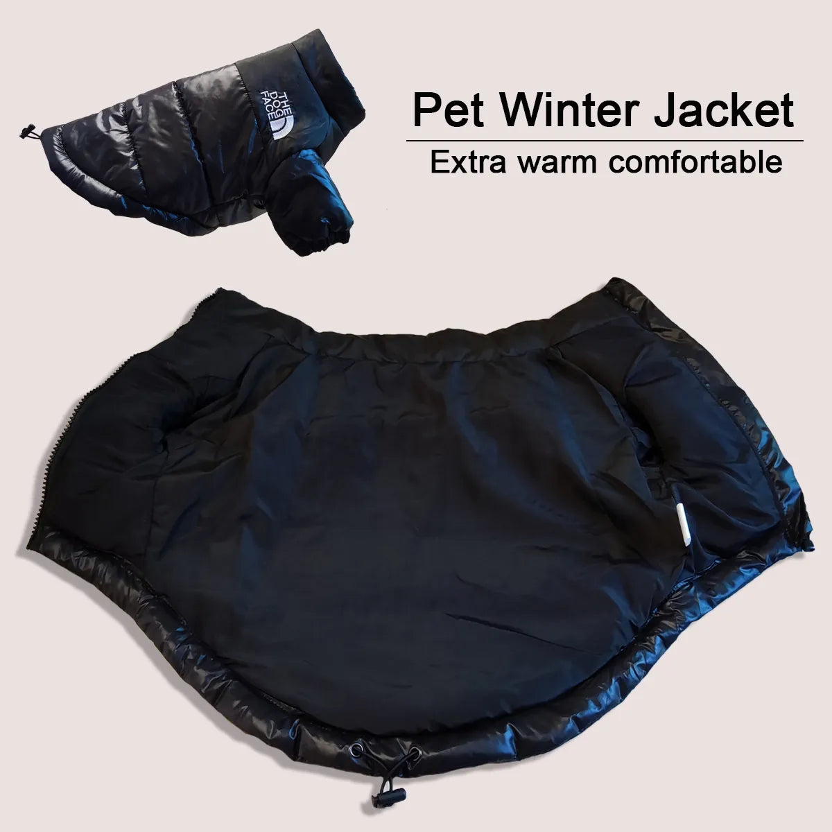 Winter Ready: Stylish Dog Coats for Warmth & Fashion