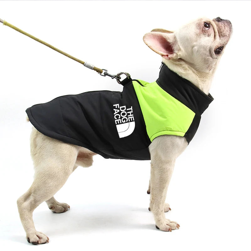 Waterproof Dog Jacket Padded Zipper for Small & Medium Dogs