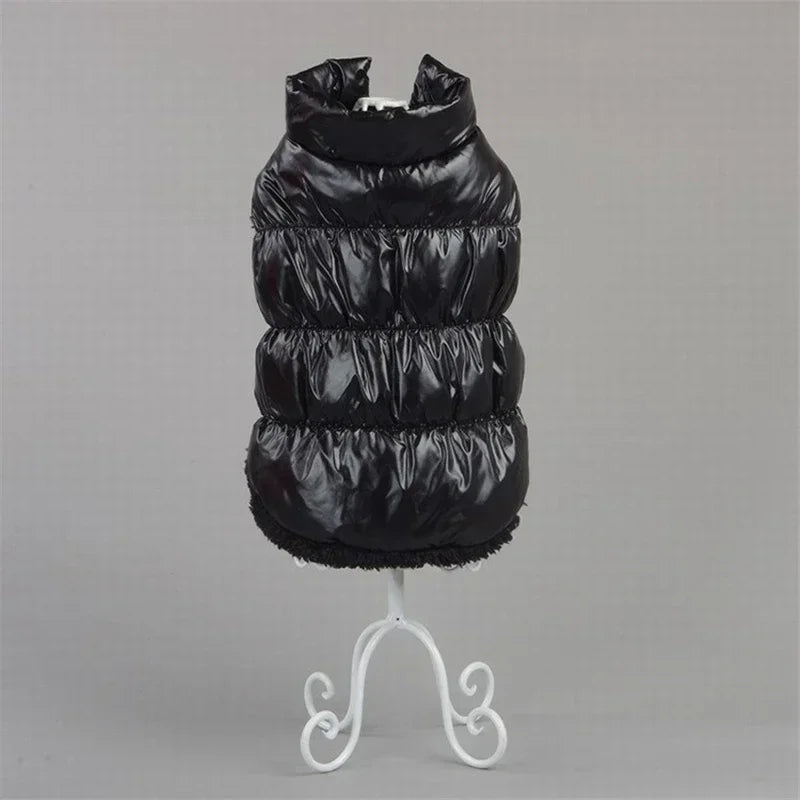 Winter-Ready Dog Coats: Stylish Pet Jackets for Small Breeds