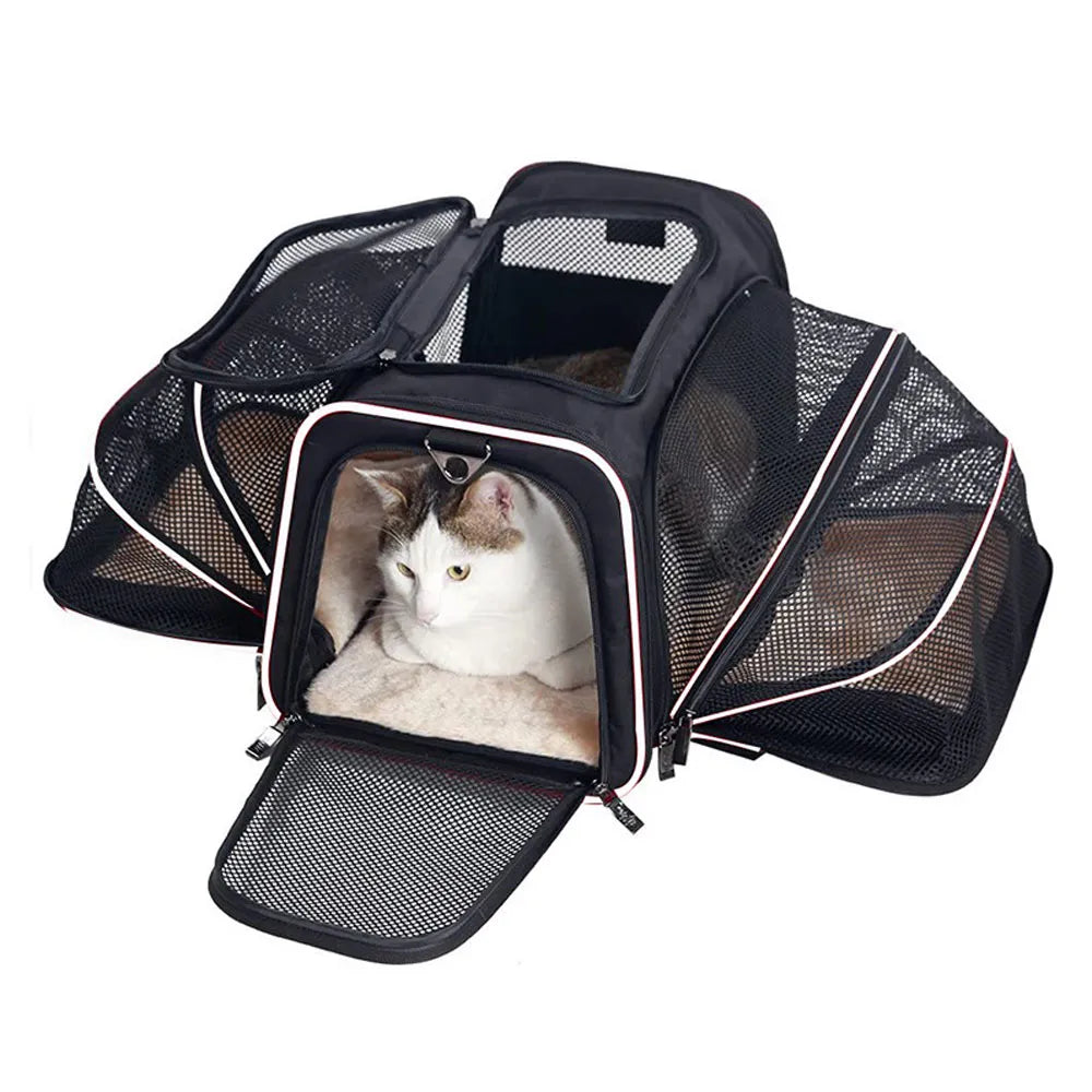 Explore with Ease: Portable and Breathable Dog&Cat Backpack