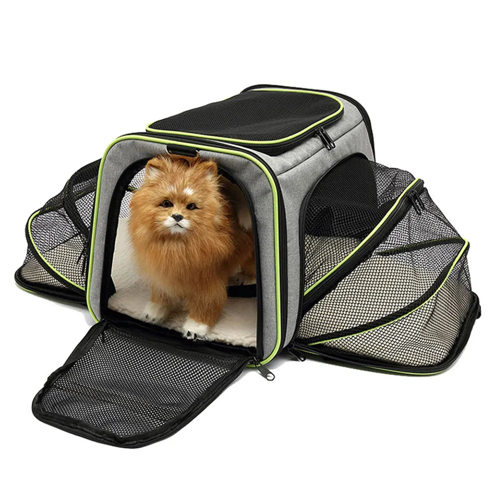 Explore with Ease: Portable and Breathable Dog&Cat Backpack