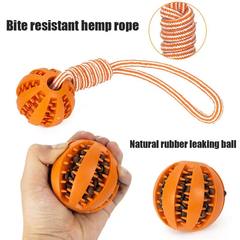 Ball and Rope Dog Toy: Interactive Chew Toy for Small Dogs