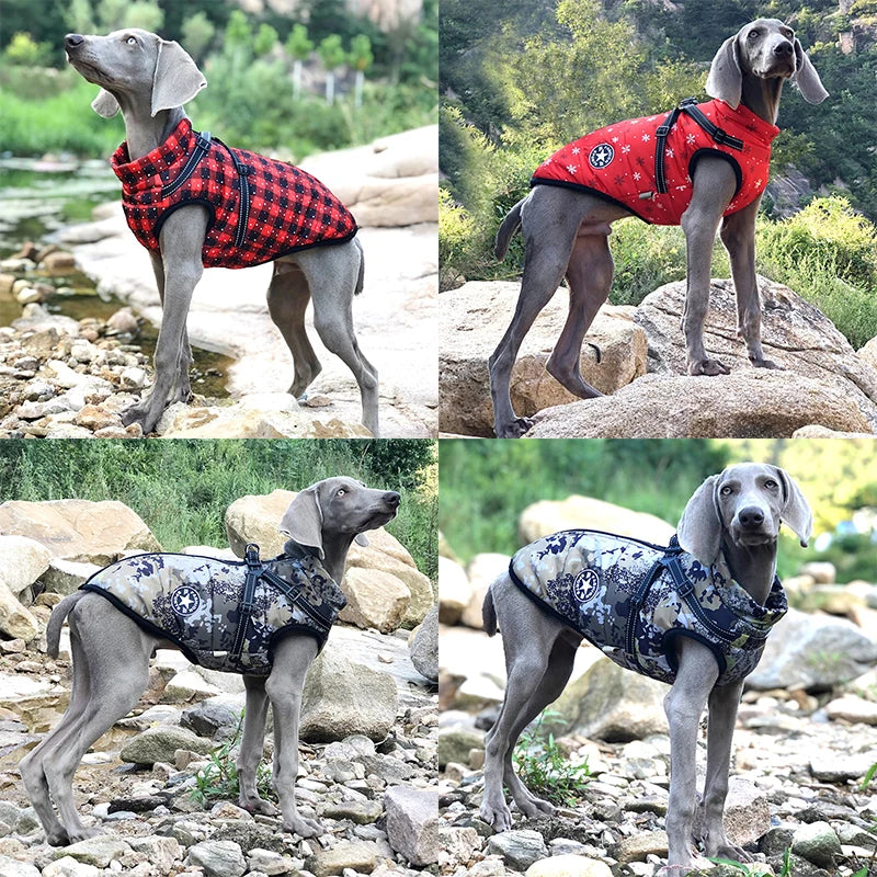 Winter-Ready Dog Jackets: Stylish, Warm Coats for Large Breeds