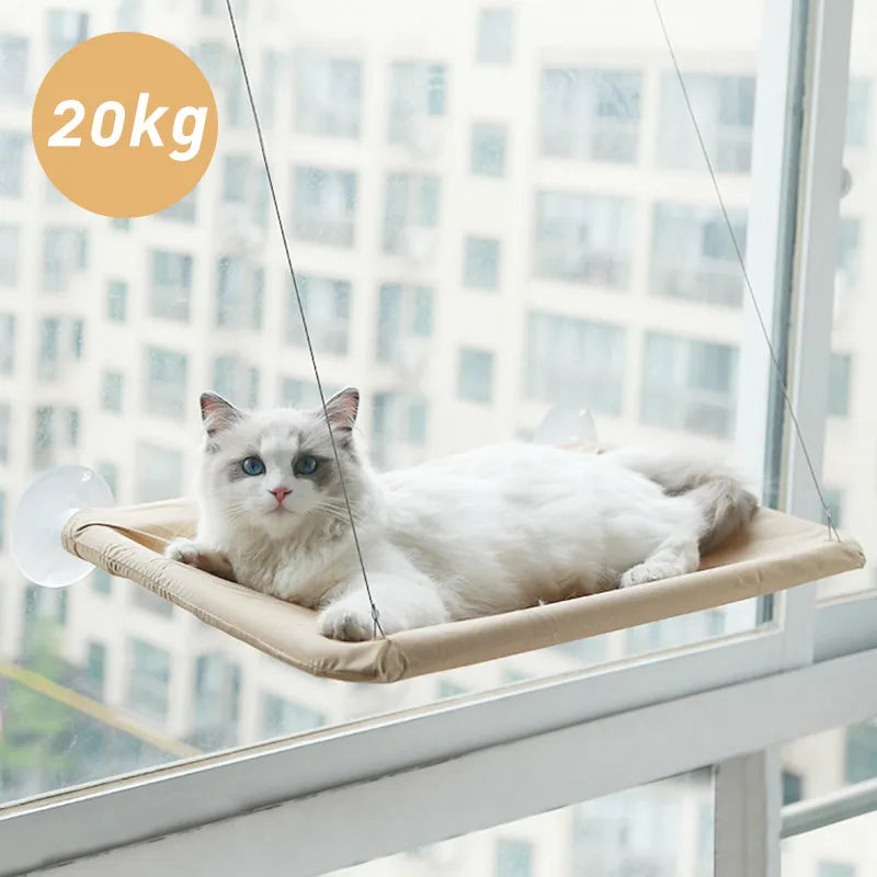 Cat Hammock: Comfy Window Seat for Climbing Kittens