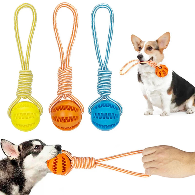 Ball and Rope Dog Toy: Interactive Chew Toy for Small Dogs