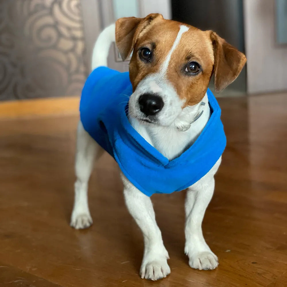 Warmth Unleashed: Winter Dog Vests for Cozy Adventures