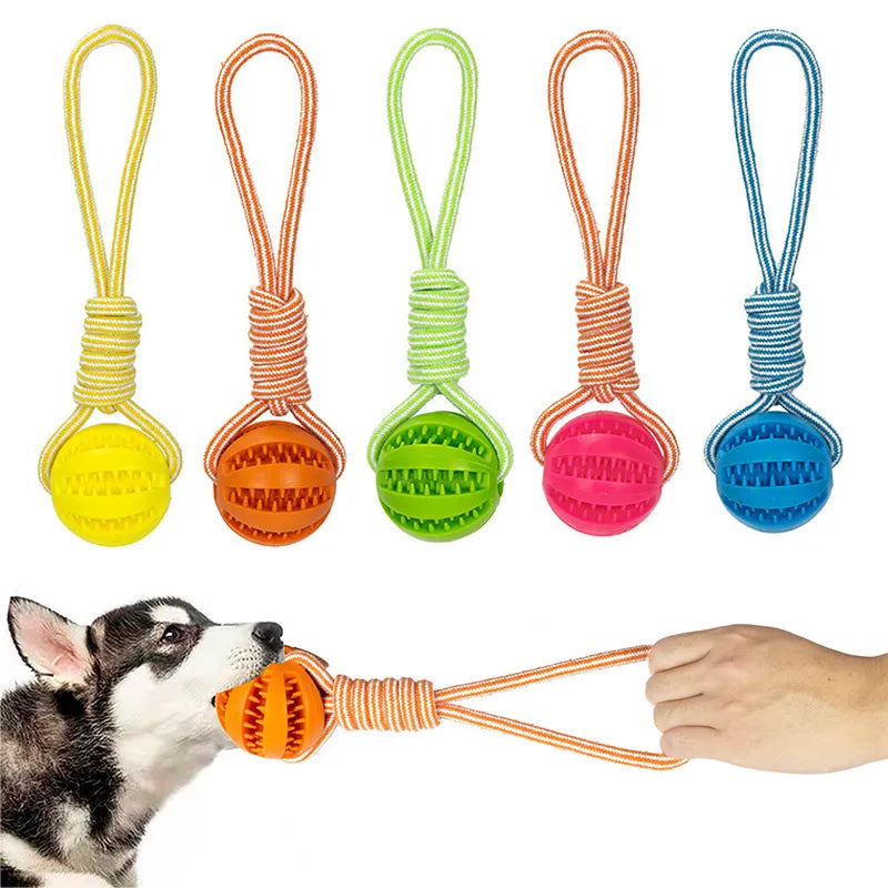 Ball and Rope Dog Toy: Interactive Chew Toy for Small Dogs