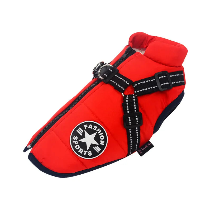 Winter-Ready Dog Jackets: Stylish, Warm Coats for Large Breeds