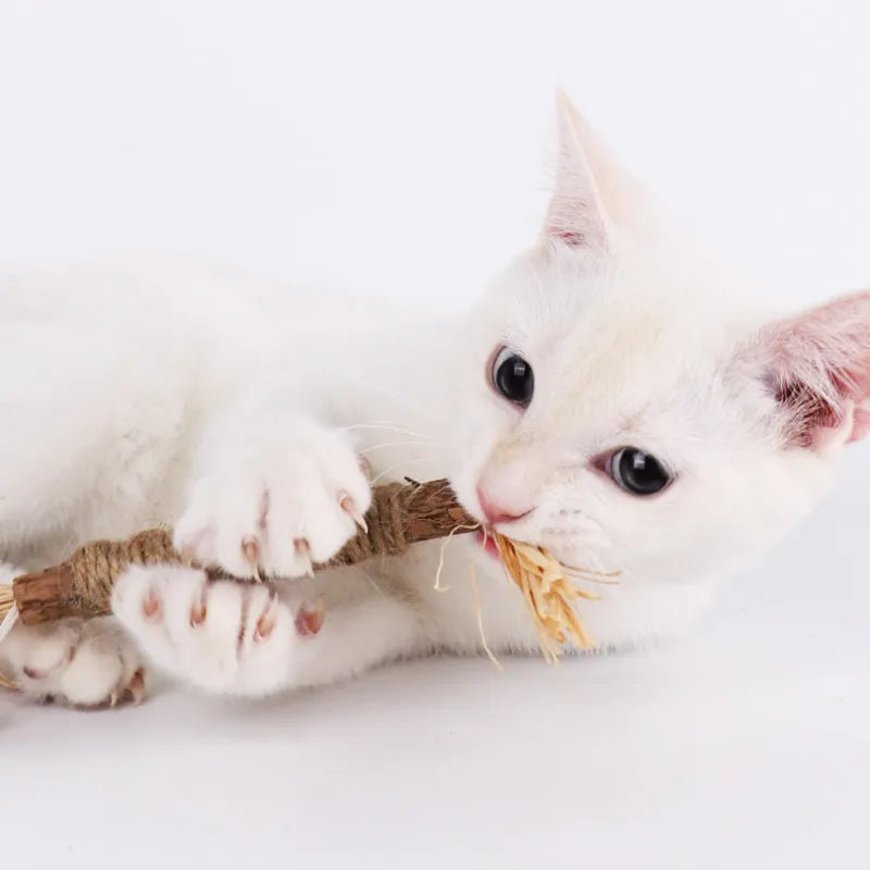 Purrfection Unleashed: Silvervine & Catnip Cat Biting Toys for Dental Bliss!