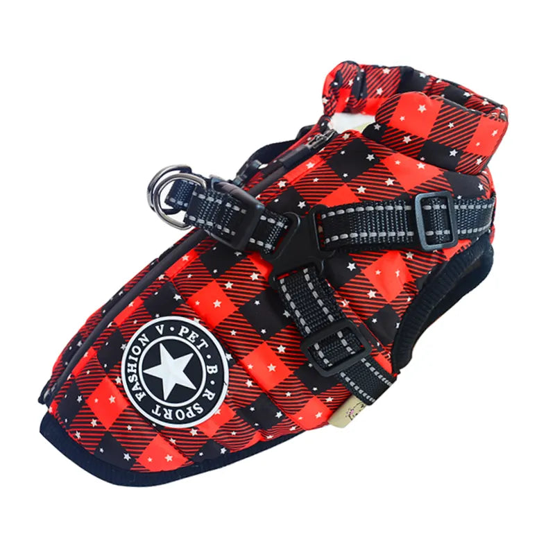 Winter-Ready Dog Jackets: Stylish, Warm Coats for Large Breeds