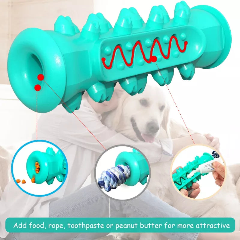 Safe Dog Chew Toys for Healthy Dental Care