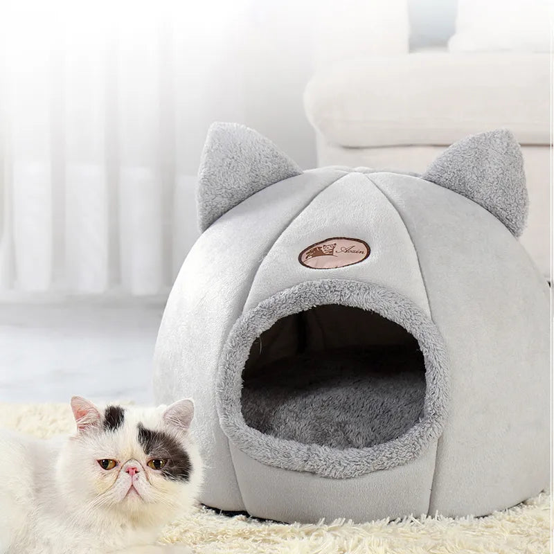 Cute Cat Beds: Winter Comfort in Cozy Mats and Small Dog Houses
