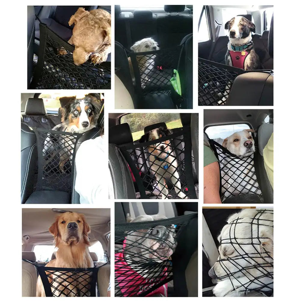Durable Dog Harness: Safety Net for Travel and Walks