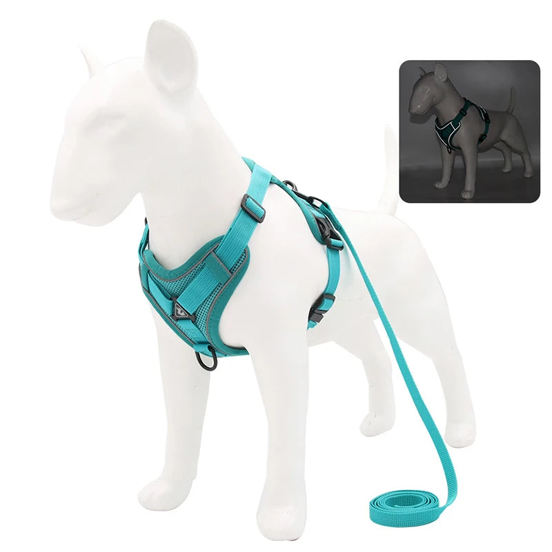 No-Pull Pet Harness Set | Small Dogs & Cats | Reflective Mesh Strap