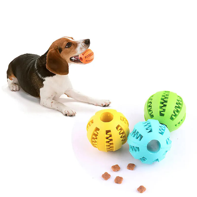 Interactive Dog Treat Ball: Chew Fun for Small Dogs
