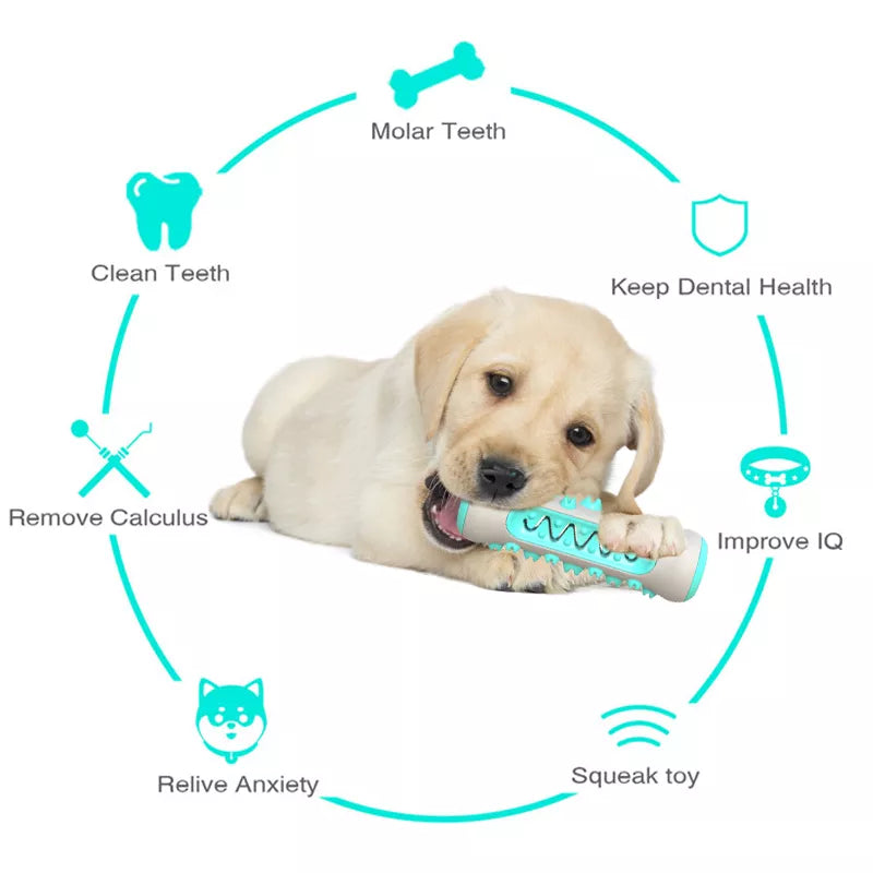 Safe Dog Chew Toys for Healthy Dental Care