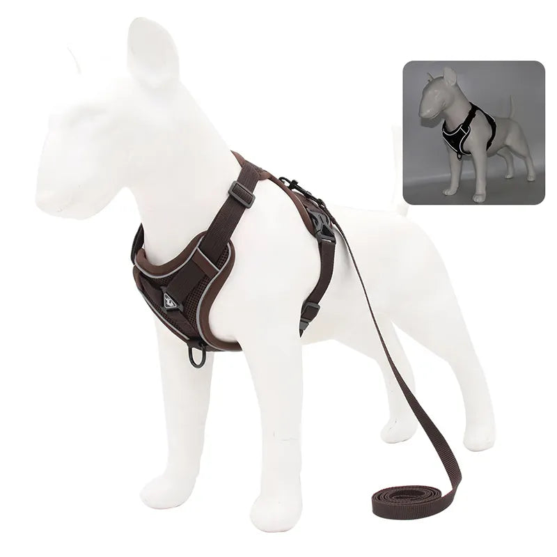 No-Pull Pet Harness Set | Small Dogs & Cats | Reflective Mesh Strap