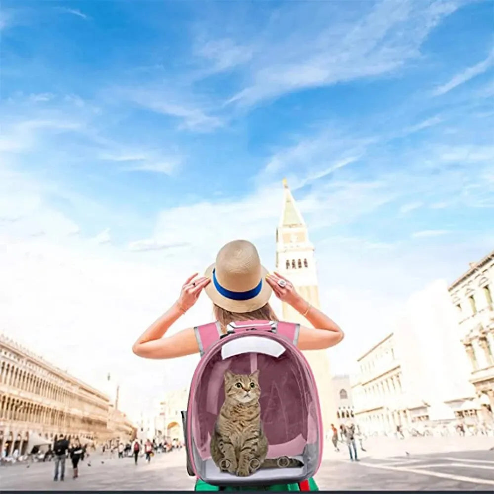 Embark on Adventures Together: Stylish Cat Carrier Backpacks for Ultimate Comfort