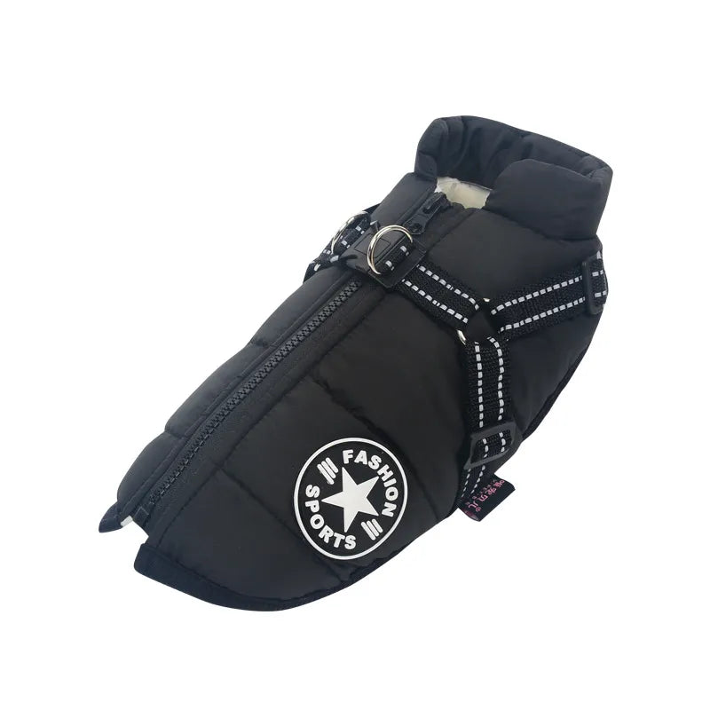 Winter-Ready Dog Jackets: Stylish, Warm Coats for Large Breeds