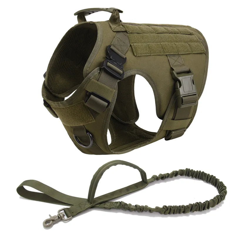 Top Dog Training Harness: Strength, Control, Durability