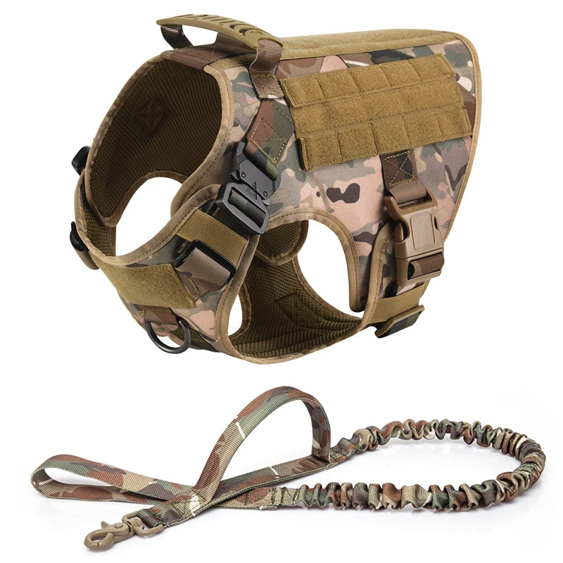 Top Dog Training Harness: Strength, Control, Durability