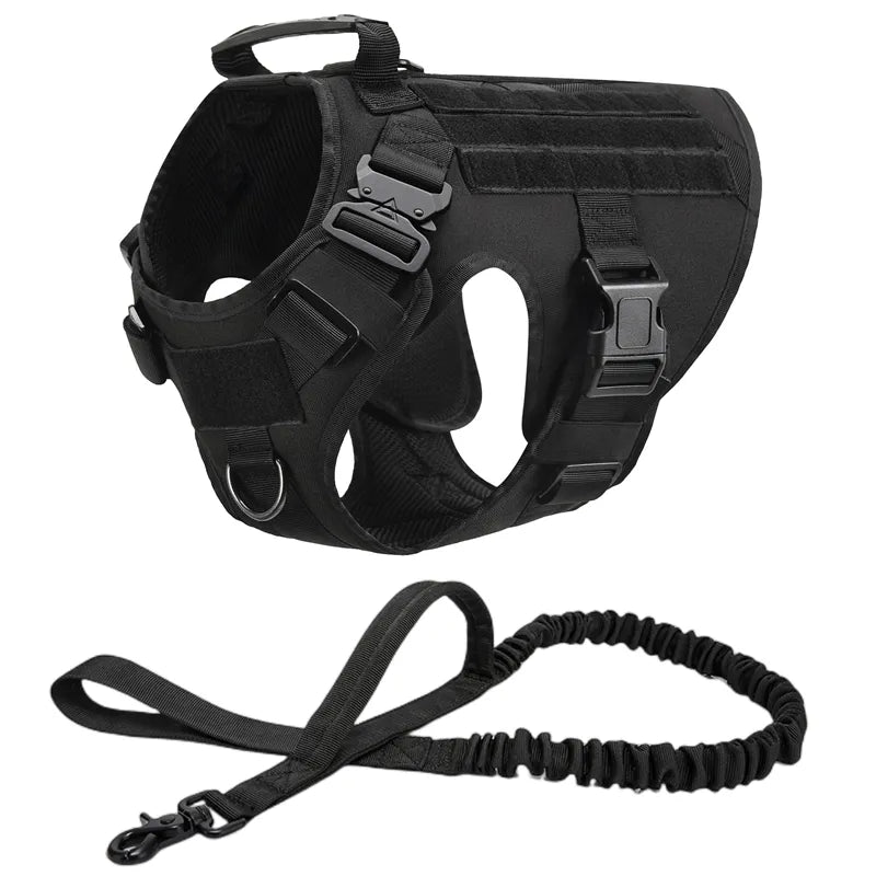 Top Dog Training Harness: Strength, Control, Durability