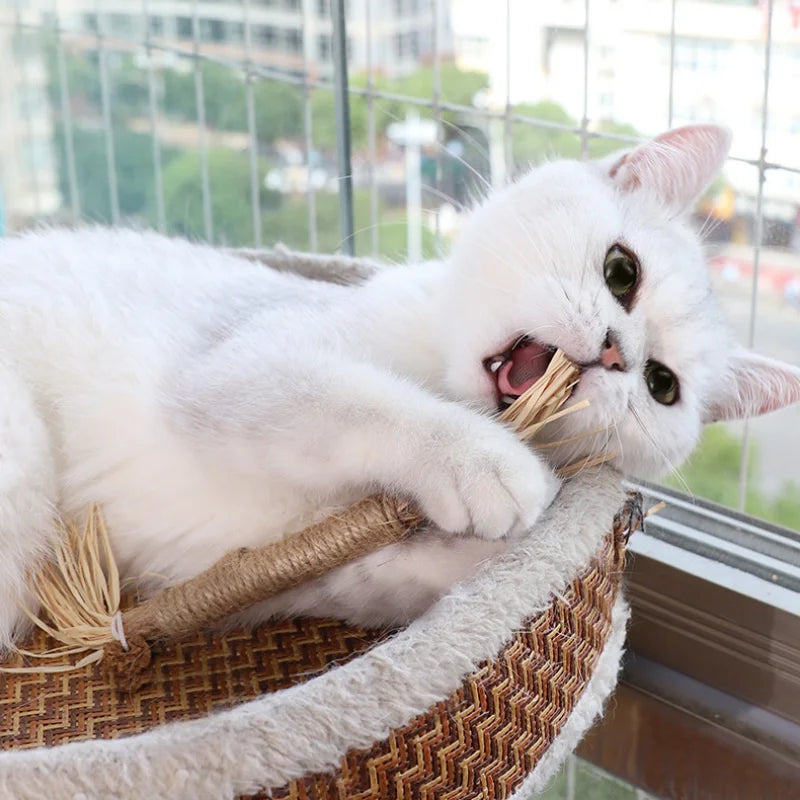 Purrfection Unleashed: Silvervine & Catnip Cat Biting Toys for Dental Bliss!