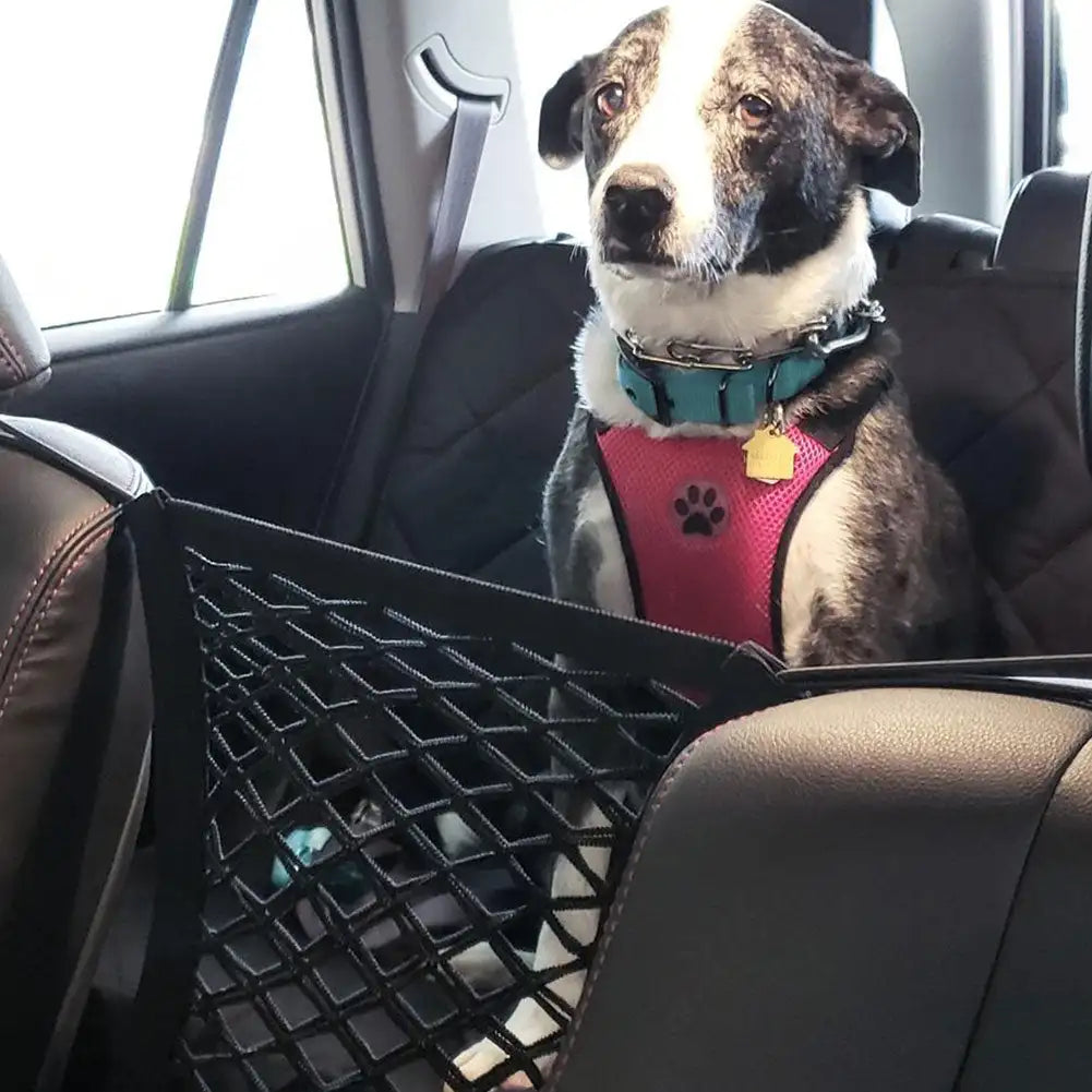Durable Dog Harness: Safety Net for Travel and Walks