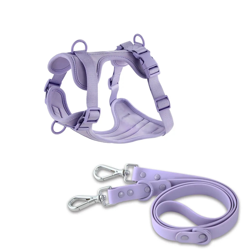 Dual Comfort Dog Harness Set - Adjustable, Breathable, and Stylish