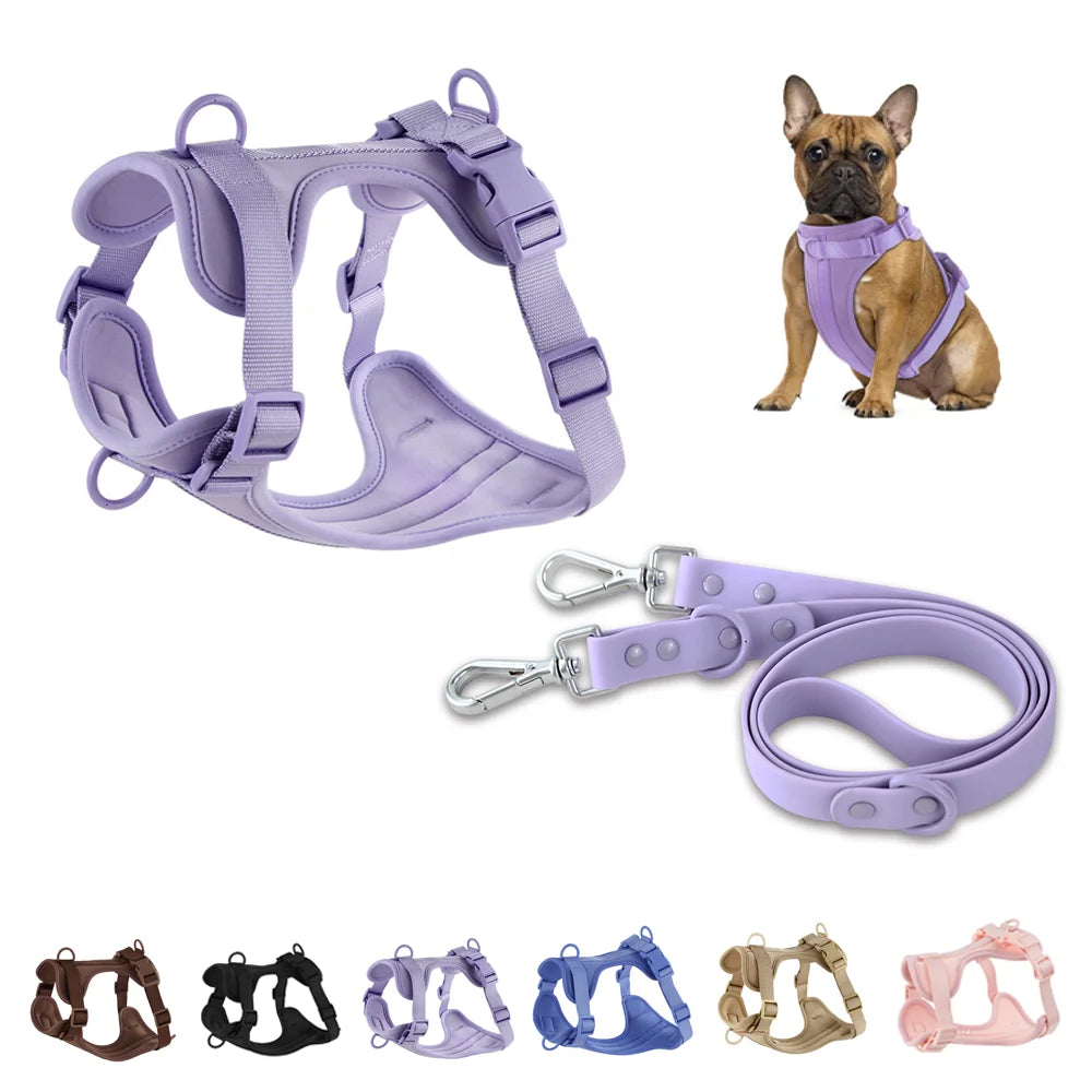 Dual Comfort Dog Harness Set - Adjustable, Breathable, and Stylish