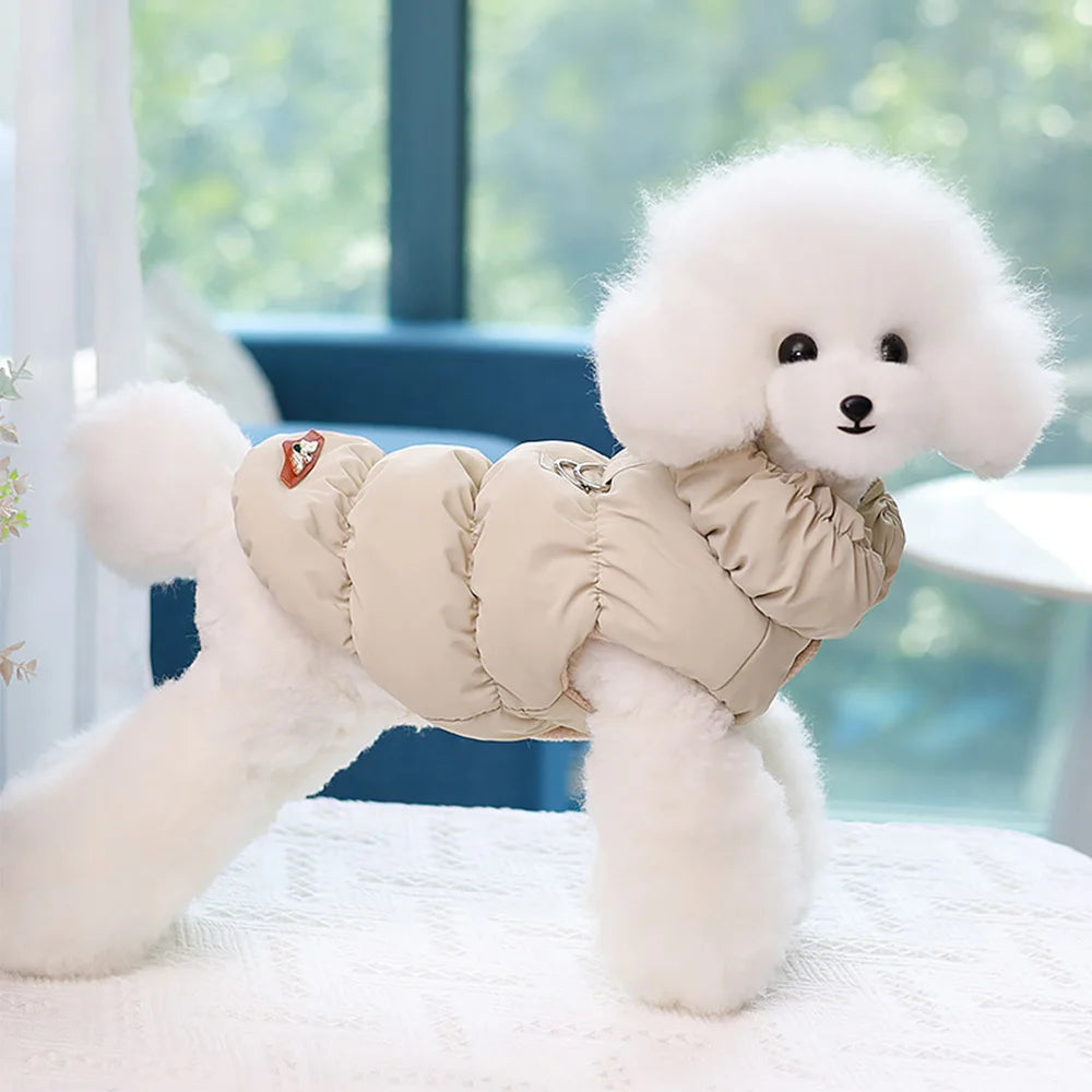 Snug Small Dog Jackets: Winter-Ready Canine Comfort