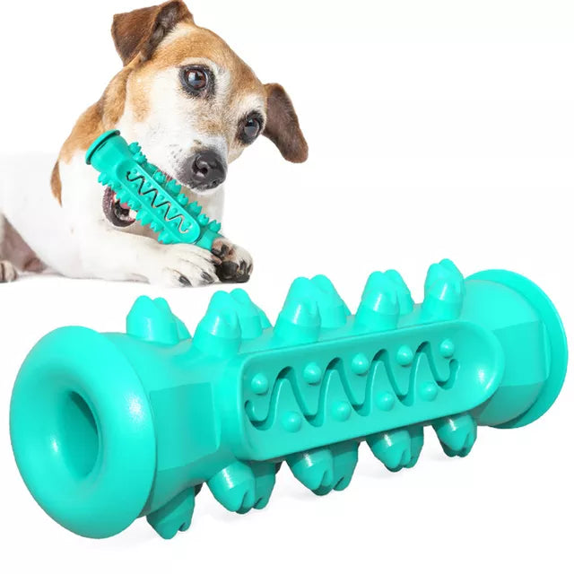 Safe Dog Chew Toys for Healthy Dental Care