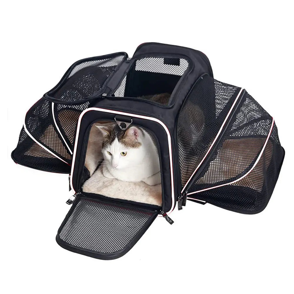 Explore with Ease: Portable and Breathable Dog&Cat Backpack