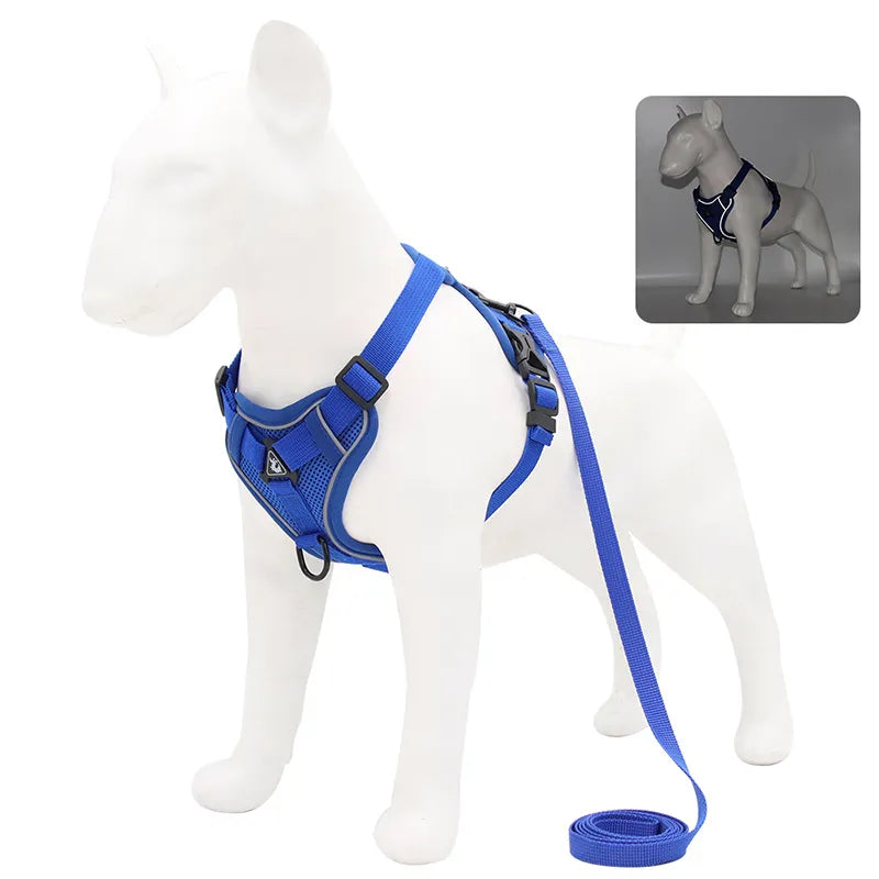 No-Pull Pet Harness Set | Small Dogs & Cats | Reflective Mesh Strap