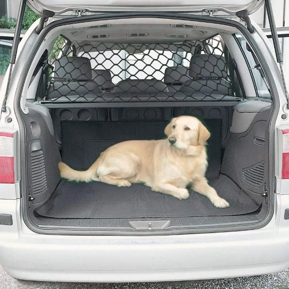 Secure Your Pup: Car-Ready Dog Nets for Ultimate Safety