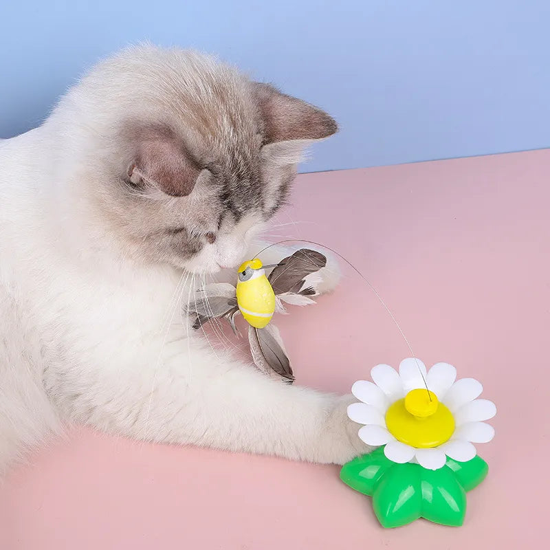 Interactive Cat Toy: Electric Butterfly Fun!