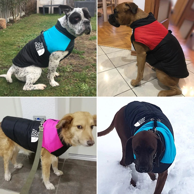 Waterproof Dog Jacket Padded Zipper for Small & Medium Dogs