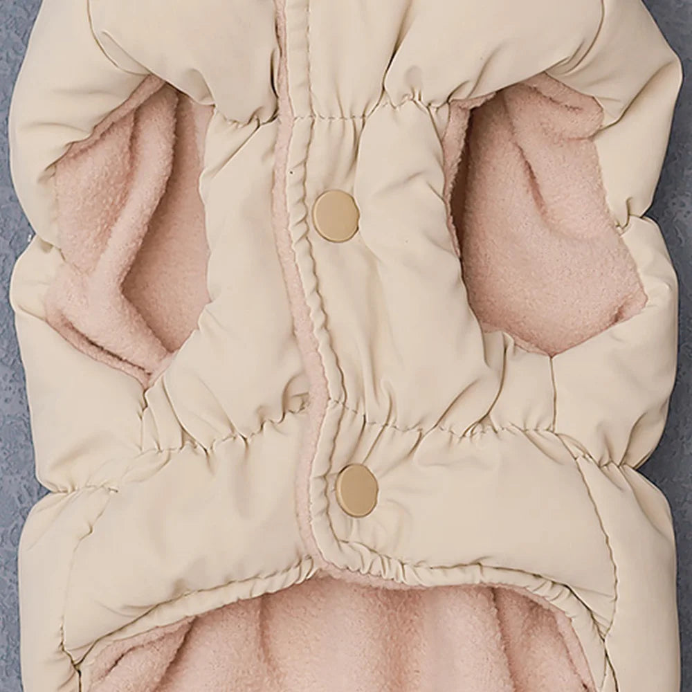 Snug Small Dog Jackets: Winter-Ready Canine Comfort